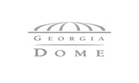 The Georgia Dome